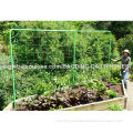 Vegetable Climbing Net, Green Color, 8g/m2 with 15*17cm, Supports to Climbing Plants or Vegetables